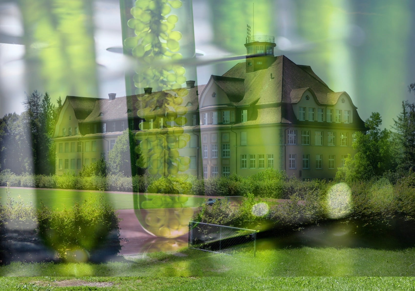 FMS Frauenfeld Biologie 1-3